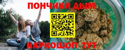 сатива Лесосибирск